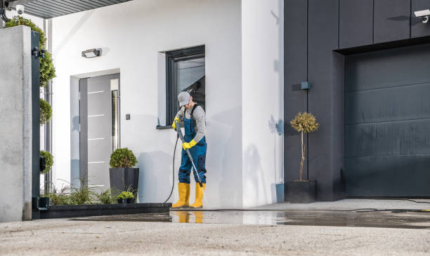 Best Fence Cleaning and Maintenance in Graysville, AL